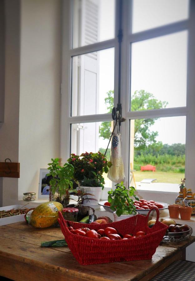 Manoir La Rumillette Saint-Michel-sur-Loire Zewnętrze zdjęcie